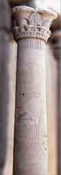 papyrus campaniform column