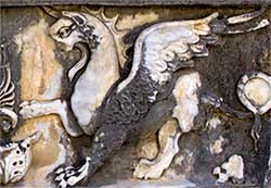 Griffon