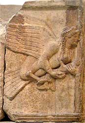 harpies