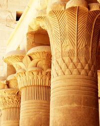 palmiform column