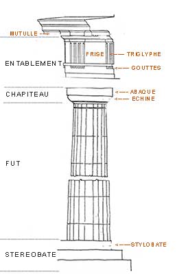 echine dans l'ordre dorique