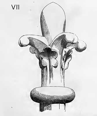 fleuron